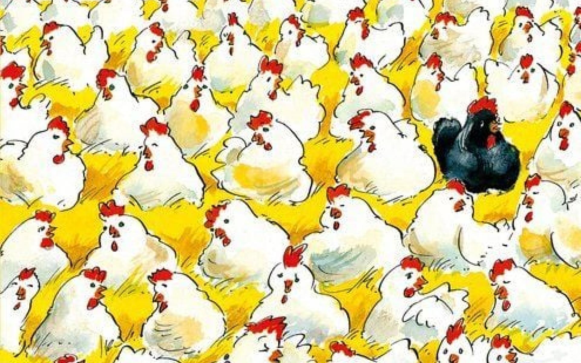 Schwarzes Huhn - Bilderbuchkino